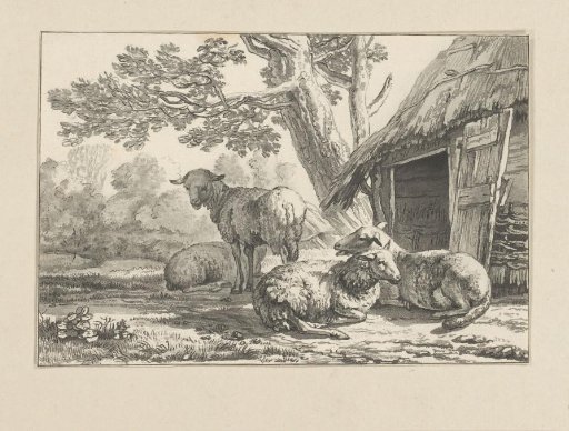 Sheepfold