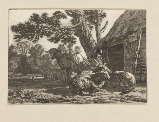 Sheepfold