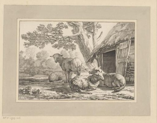 Sheepfold