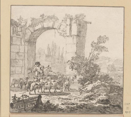 Herd of Goats at a Gate