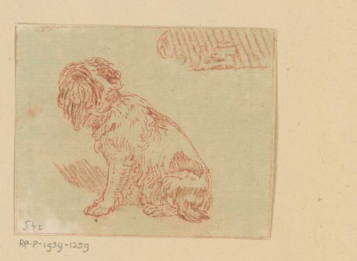 Sitting dog