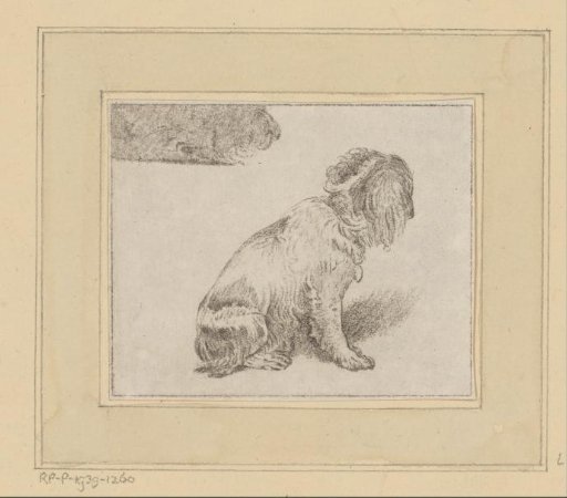 Sitting dog