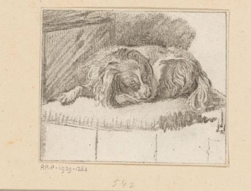 Lying dog