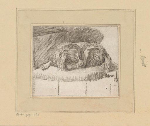 Lying dog