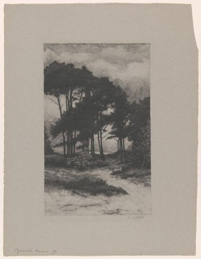 Landscape with trees