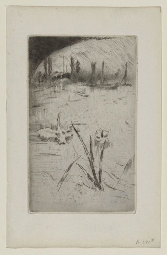 Swan and an Iris
