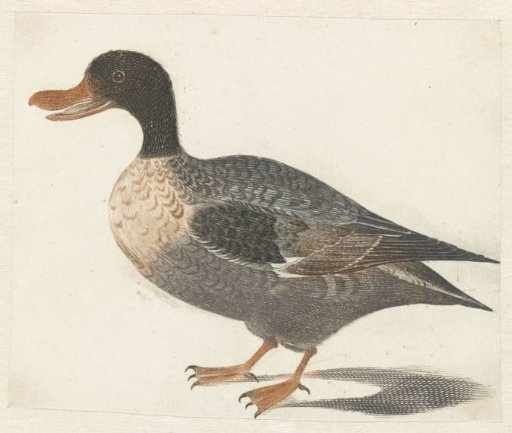 Standing Duck Facing Left