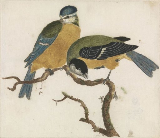 A titmouse and a great tit on a branch
