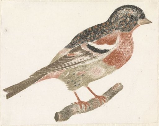 Bird on a branch to the right, possibly a goldfinch