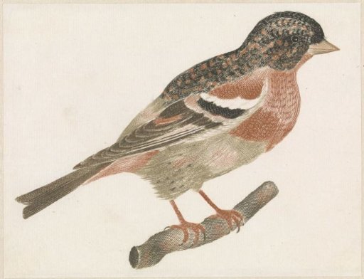 Bird on a branch to the right, possibly a goldfinch