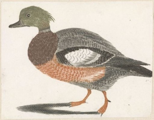 Duck to the left