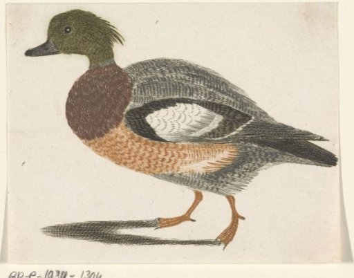 Duck to the left