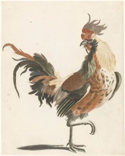 Rooster walking to the right (version A)