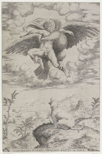 Abduction of Ganymede
