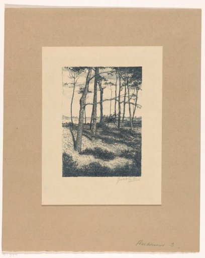 Heathland landscape with trees