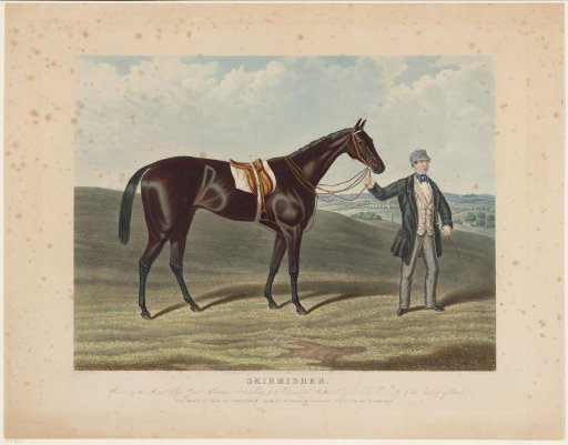 Man holds a horse by the reins