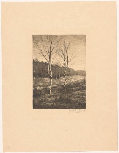 Heathland landscape with forest edge and birches