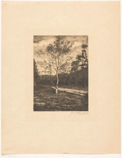 Landscape with birch