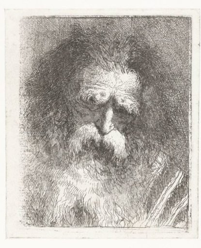 Old man with bristling eyebrows and beard