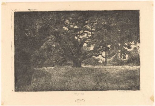 Wood with deciduous trees