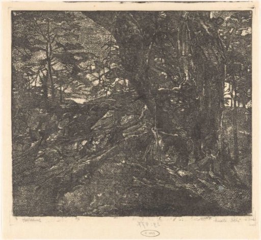 Trees on a dune ridge between Egmond and Bergen