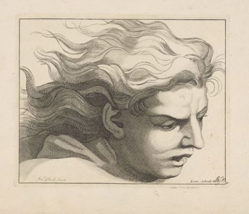 Study of a male head with wavy hair