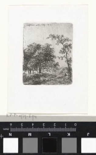 Fisherman by a river in a forest