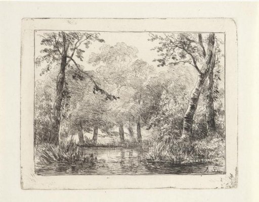 Forest view with pond