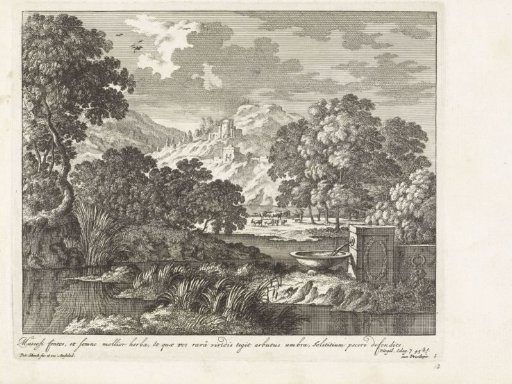 Landscape with water and reeds