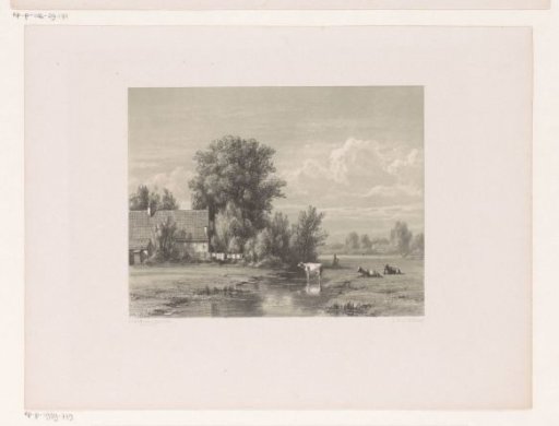 Landscape with a farm and a cow in the water