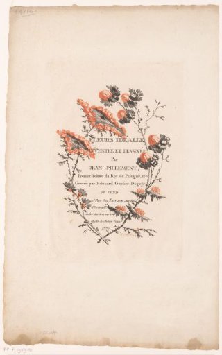 Flat flowers and buds