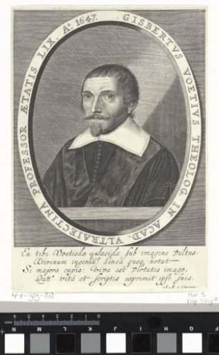 Portrait of Gisbertus Voetius