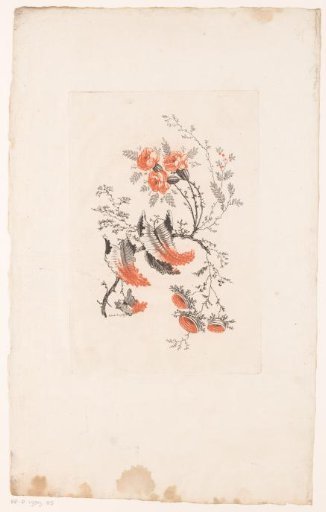 Various fantasy flowers