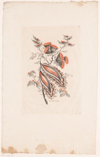 Fan-shaped flowers