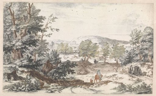 Wooded landscape with a road