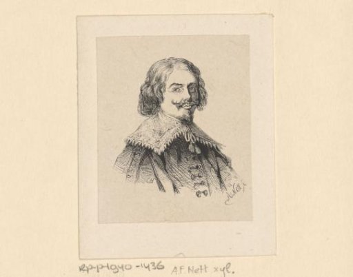 Portrait of Dominicus van Tol