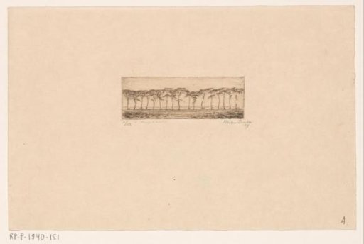 Heath Landscape with Trees