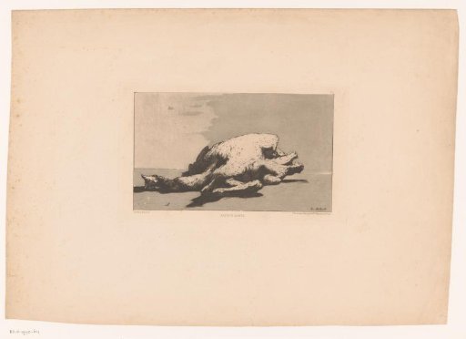 Still life with a dead chicken