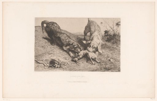 Two dachshunds tearing a rabbit apart