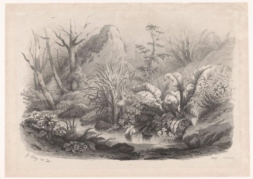 Bank plants by a stream