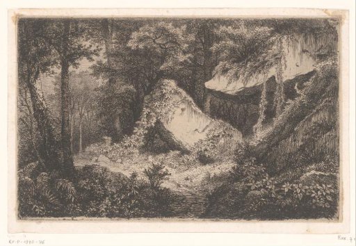 Vegetated rocks in a forest