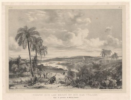 View of the banks of the Rio das Velhas
