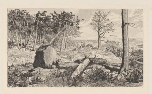 Simplicius in a Clearing in the Forest