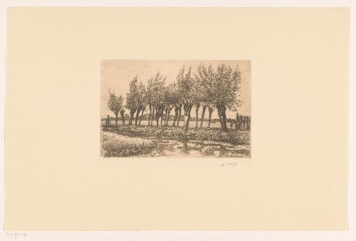 Meadow landscape with pollard willows