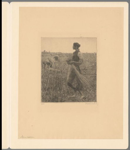 Three gleaners at work