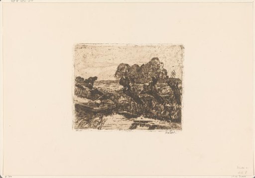 Willows by a Ditch