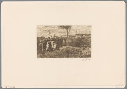 Cows in a Meadow with a Milking Farmer