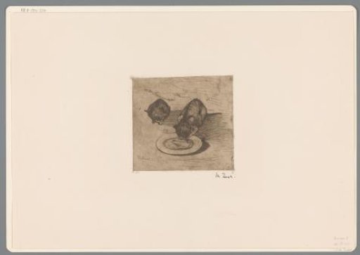Two Cats, One Drinking from a Bowl