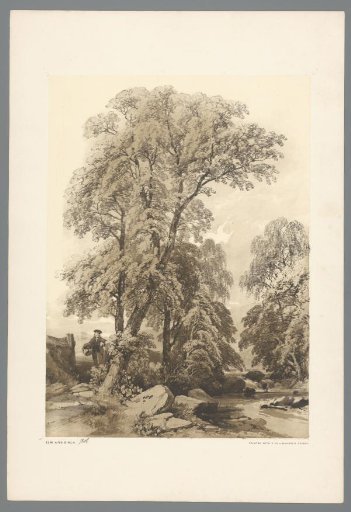 Landscape with trees on a shore near Leatherhead and Dorking
