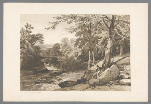 Landscape with a river in a forest